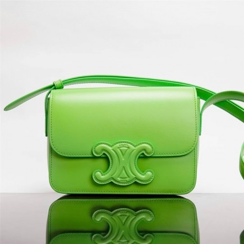 Celine GEANTĂ CLASICĂ PENTRU ADOLESCENȚI ÎN CUTIE PIELE DE VIȚEL 199223 verde