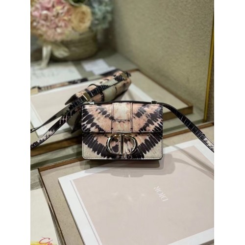 Geantă DIOR 30 MONTAIGNE Cravată multicoloră Dior Broderie M9204U