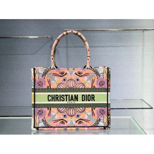 DIOR PULSAR MIC DIOR BOOK TOTE Cravată multicoloră Dior Broderie C1296