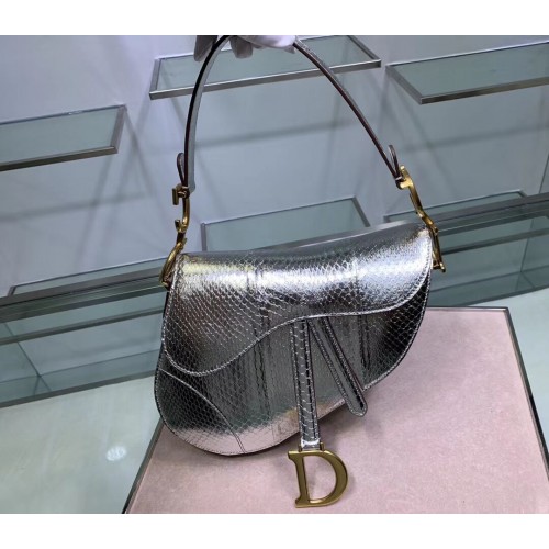 Dior SADDLE Geantă din piele de șarpe C9046 argintie
