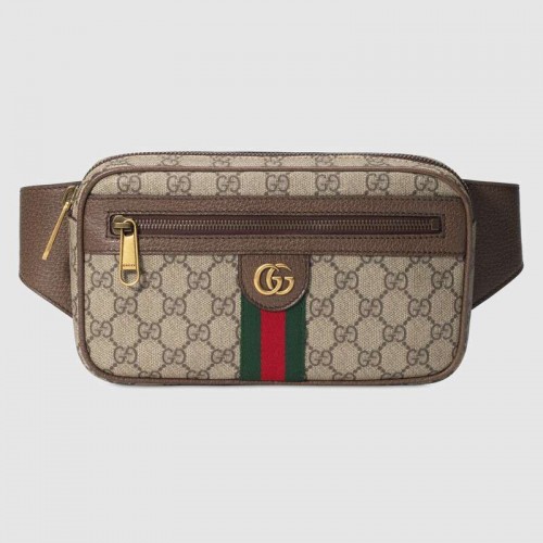 Geantă de mână Gucci Ophidia GG 574796 maro
