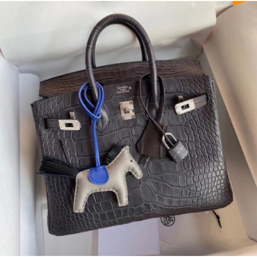 Geantă Hermes Birkin 25CM din piele naturală Croco H25TCO gri