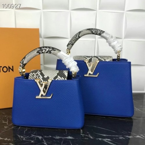 Louis Vuitton CAPUCINES MINI M99676 albastru