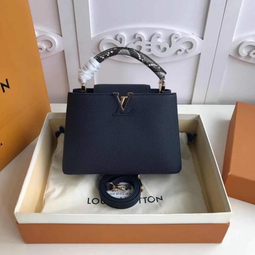 Louis Vuitton CAPUCINES PM M523867 Albastru regal