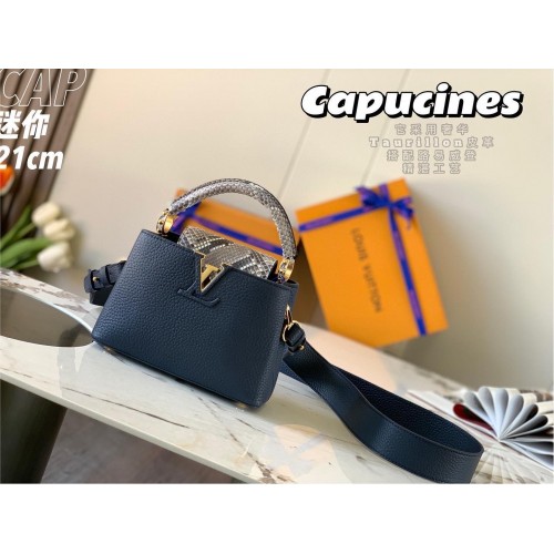 Louis Vuitton CAPUCINES PM Original Python Leather N80041 Navy