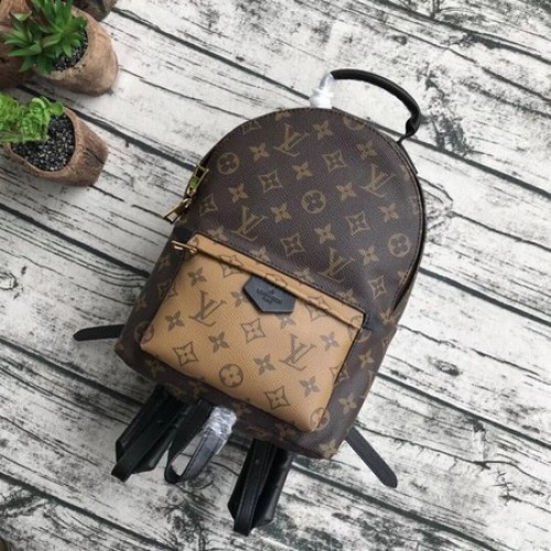 Rucsac Louis Vuitton Monogram Canvas PALM SPRINGS MM M43116
