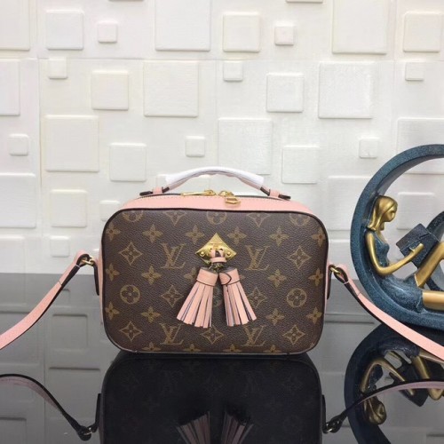 Louis Vuitton Monogram Canvas original Leather SAINTINGE N40154 roz