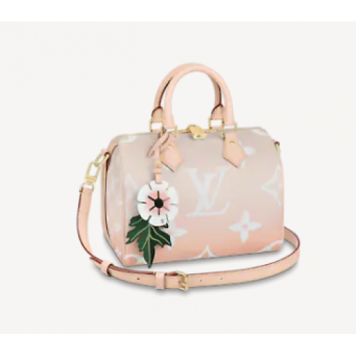 Louis Vuitton SPEEDY BANDOULIERE 25 M45722 Gri Brume