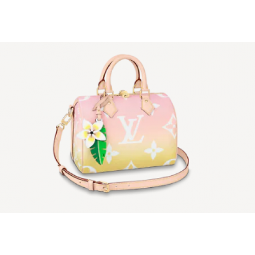 Louis Vuitton SPEEDY BANDOULIERE 25 M45724 roz