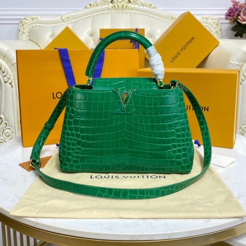 Louis Vuitton piele de crocodil CAPUCINES M48866 verde