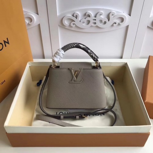 Louis vuitton original CAPUCINES MINI N94047 gri
