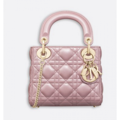 MINI LADY DIOR-TAS VAN LAMSLEER M15P roz