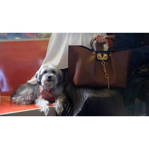 VALENTINO Geantă originală din piele 2080 maro